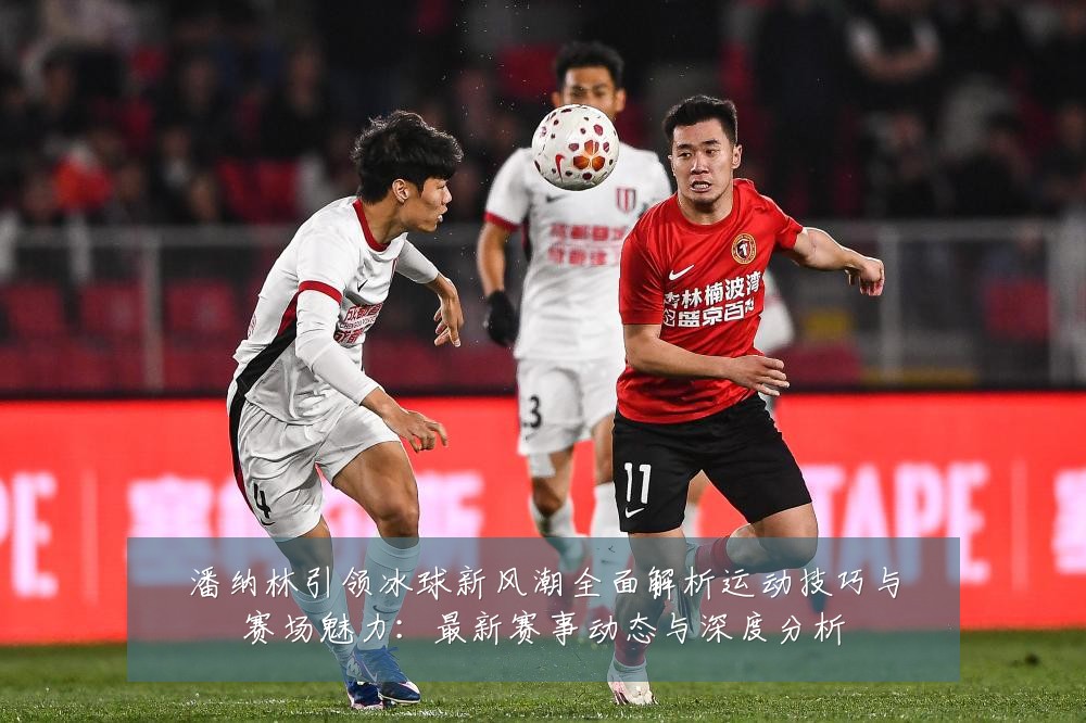 潘纳林引领冰球新风潮全面解析运动技巧与赛场魅力：最新赛事动态与深度分析